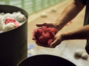 Weaving Sustainability into Everyday Choices