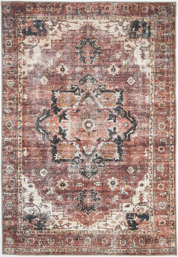 Distressed Vintage Cezanne Terracotta Area Rug